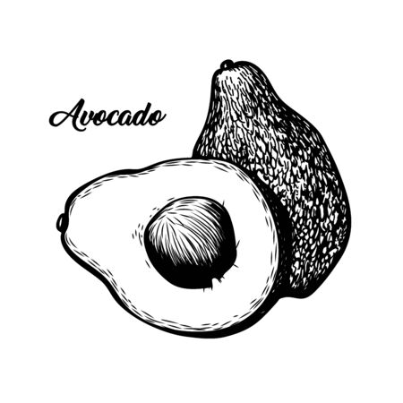 Avocado black and white vector illustration. Exotic fruit, delicious tropical eating with lettering. Sweet vegan dessert, natural juice ingredient ink pen drawing. Vitamin diet banner design elementのイラスト素材