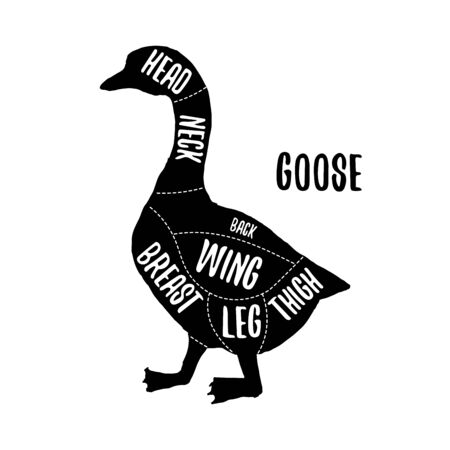 Goose meat cutting charts vector illustration for butchers shop guide. Label for farm designのイラスト素材