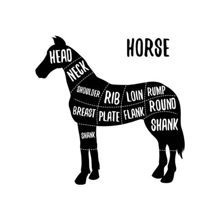 Horse meat cutting charts vector illustration for butchers shop guide. Label for farm design. Butchery Shop Poster with Cutt Chartsのイラスト素材