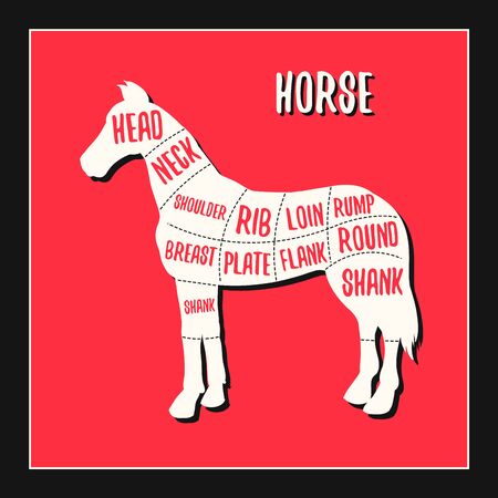 Horse meat cutting charts vector illustration for butchers shop guide. Label for farm design. Butchery Shop Poster with Cutt Chartsのイラスト素材