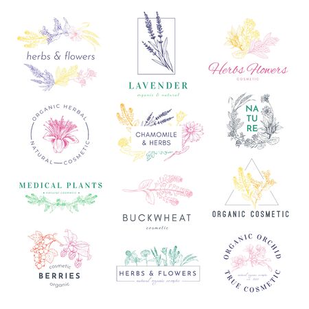 Cosmetic products logo hand drawn vector set. Medical plants, lavender, buckwheat illustrations with typography pack. Natural eco with herbs label, sticker, badge design collectionのイラスト素材