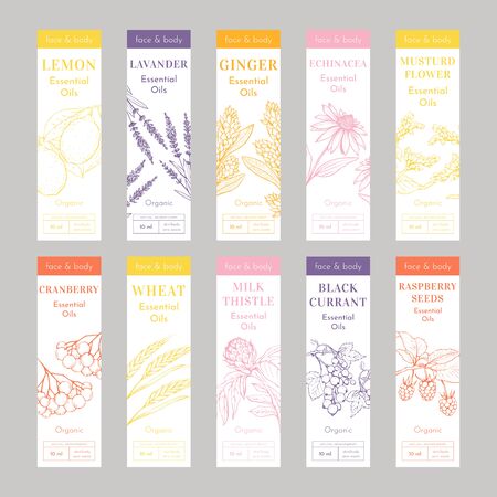 Cosmetic Essencial Oils Vertical tags. Vector Print Template Set of Flyers or banners. Lavender, Echinacea Herbs. Raspberry Seeds, Black Currant Engraved Berries. Lemon Fruit Sketches.のイラスト素材