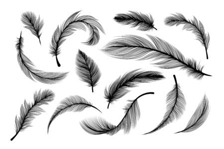 Feathers, vector black silhouettes with fluffy plumage texture. Feather quills flying and falling, abstract bird plume black on white background, isolated design elements with laser cut effectのイラスト素材