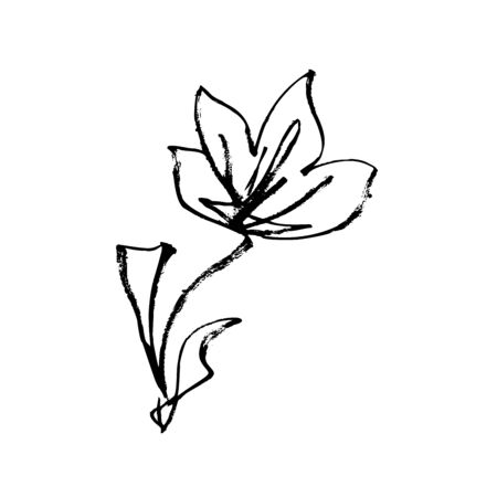 Flower ink paint hand drawn and Japanese calligraphy art style, vector isolated line design. Japanese flower, plum blossom or Chinese apricot meihua petals decoration with ink or pencil grunge textureのイラスト素材