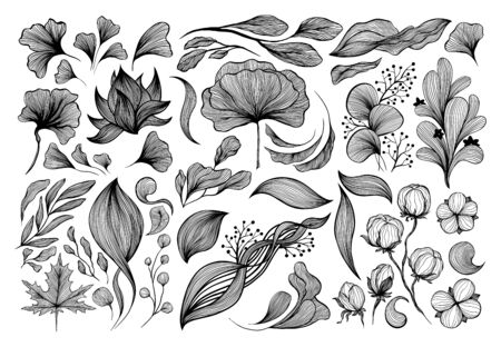 Abstract waves black and white line art decoration set for wallpaper and wall art design. Use for laser cutting. Modern contour drawign elements collectionのイラスト素材