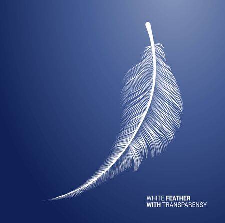 White fluffy feather, vector isolated realistic quill on blue background. Goose or swan bird feather symbol with detailed plumage texture, decoration element, softness symbol, concept designのイラスト素材
