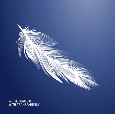 White fluffy feather, vector isolated realistic quill on blue background. Goose or swan bird feather symbol with detailed plumage texture, decoration element, softness symbol, concept designのイラスト素材