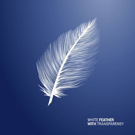 White fluffy feather, vector isolated realistic quill on blue background. Goose or swan bird feather symbol with detailed plumage texture, decoration element, softness symbol, concept designのイラスト素材