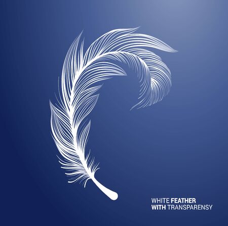 White fluffy feather, vector isolated realistic quill on blue background. Goose or swan bird feather symbol with detailed plumage texture, decoration element, softness symbol, concept designのイラスト素材