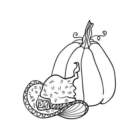 Witch hat and pumpkin, Halloween doodles. Isolated vector illustration in contour or outline drawing style for coloring book pages design.のイラスト素材