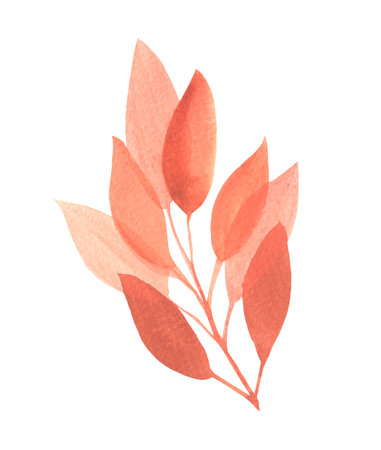 Watercolor Autumn Leaf Isolated Fall Leaves Branch Design Element in Yellow and Orange Vibrant Colors on Transparent Background, Hand Painted Illustrationの写真素材