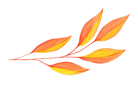 Watercolor Autumn Leaf Isolated Fall Leaves Branch Design Element in Yellow and Orange Vibrant Colors on Transparent Background, Hand Painted Illustrationの写真素材