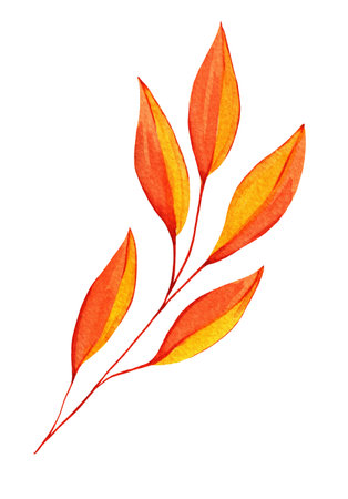 Watercolor Autumn Leaf Isolated Fall Leaves Branch Design Element in Red and Orange Vibrant Colors on Transparent Background, Hand Painted Illustrationの写真素材