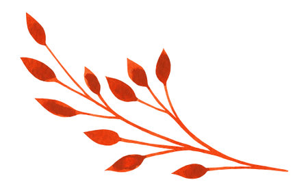 Watercolor Festive Red Leaf Isolated Autumn Fall Leaves Branch Design Element on Transparent Background, Hand Painted Illustration for Christmas Decorの写真素材