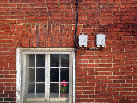Brick wall detail, window with tulips, cables