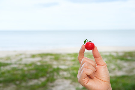 Deletable imitation fruits in hand or Kanom Look Choup in Thai, Thai traditional dessert, sea and sky background.の写真素材