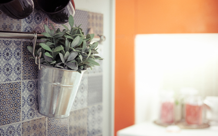Potted plants, hanging kitchen, classic chrome tone.の写真素材