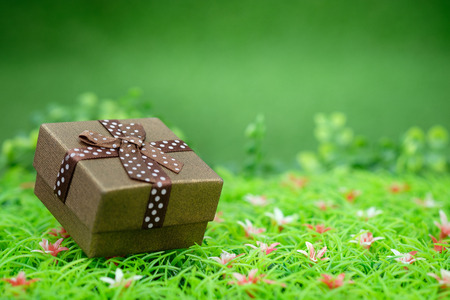 Gift box with as a present for Christmas, new year, valentine day or anniversary on green grass background, top view, space for write.の写真素材