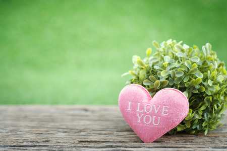 A bouquet of flowers and mini shape-heart on a wooden floor in green garden background for valentine day, AF point selection, with space for write.の写真素材