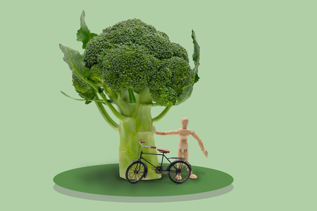 Illustration of wooden dummy stand under brocoli's tree and bicycle on isolated blue background, Idea concept picture for healthy.の写真素材