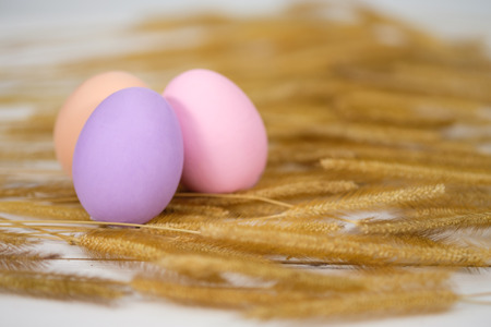 Easter eggs is a happy festival, Choose focus point with copy space to write.の写真素材