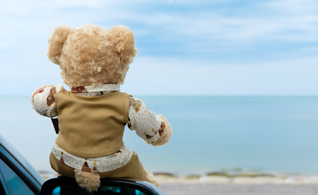 Teddy bear sit alone at the seashore.の写真素材