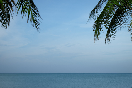 The background of the sea with palm tree.の写真素材