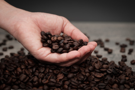 Hands checking roasted coffee beans for selection of high quality.の写真素材