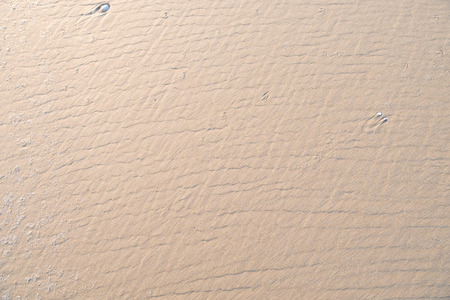 Wet sand beach texture for background.