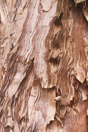 background,textureの写真素材