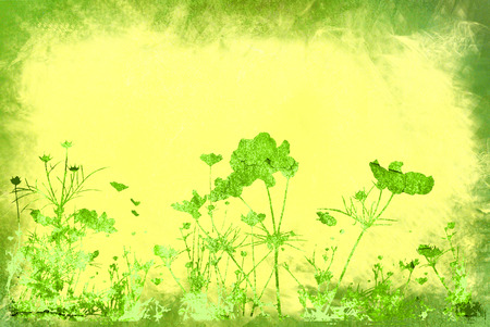 floral style texturesの写真素材