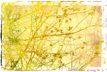 floral style texturesの写真素材