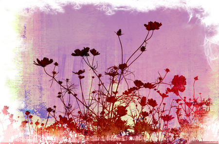 floral style texturesの写真素材