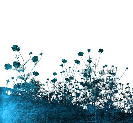 floral style texturesの写真素材