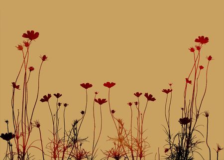 floral style texturesの写真素材