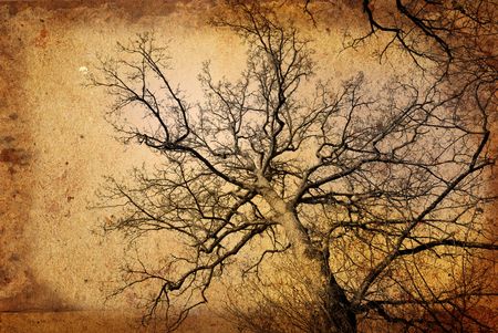 old-fashioned landscapeの写真素材