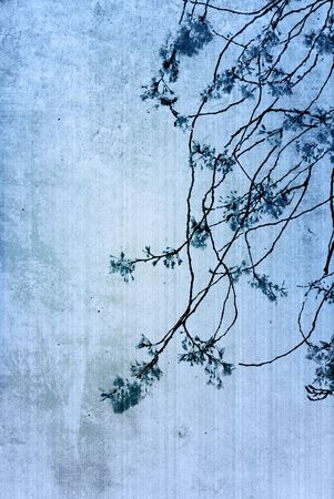 old flower paper texture backgroundの写真素材