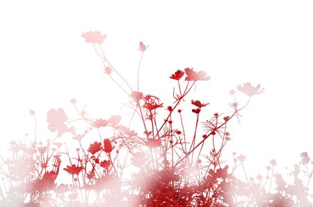 flower abstract textures and backgroundsの写真素材