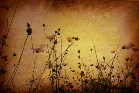 vintage flower paper backgroundの写真素材