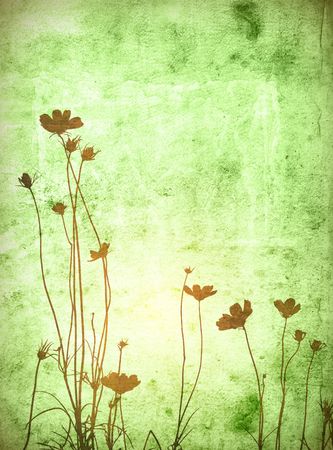 flower abstract textures and backgroundsの写真素材