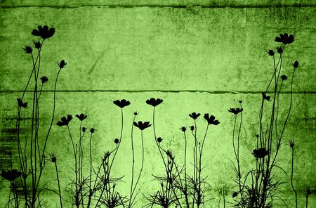 flower abstract textures and backgroundsの写真素材