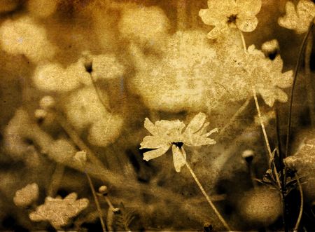 old-fashioned artistic flowerの写真素材