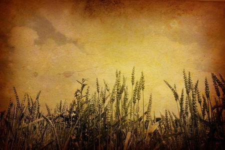 old-fashioned artistic flowerの写真素材