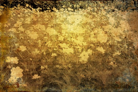 old-fashioned artistic flowerの写真素材