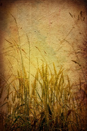 old-fashioned artistic flower の写真素材