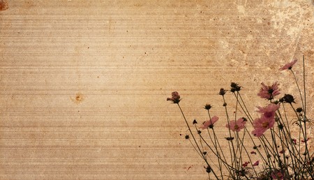 vintage flower paper backgroundの写真素材