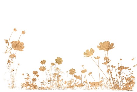 flower abstract textures and backgroundsの写真素材