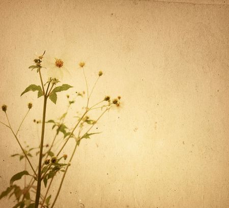 old flower paper texturesの写真素材