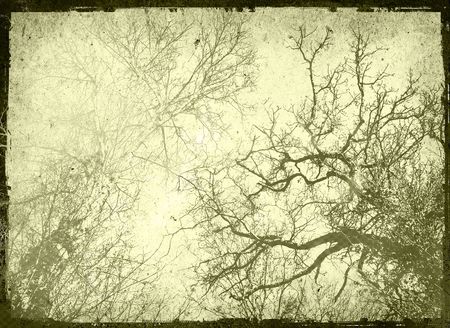 abstract textures and backgroundsの写真素材