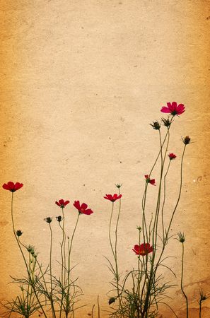 flower paper textures - perfect background with space for text or imageの写真素材